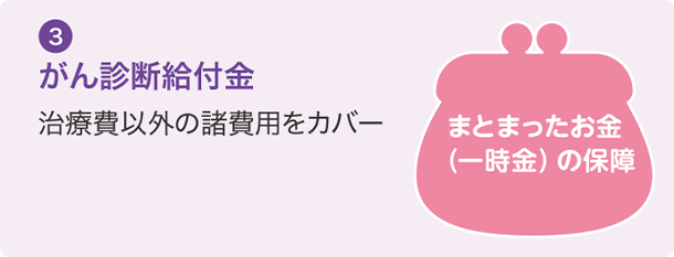 ③ がん診断給付金 治療費以外の諸費用をカバー まとまったお金(一時金)の保障