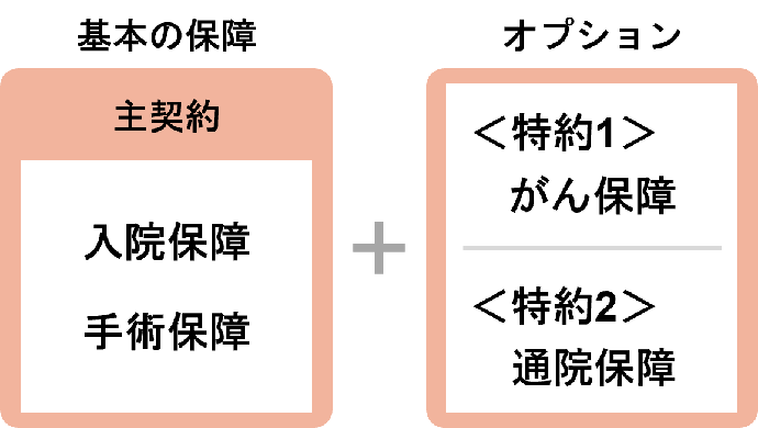 基本の保障 主契約 入院保障 手術保障 + オプション <特約1> がん保障 <特約2> 通院保障