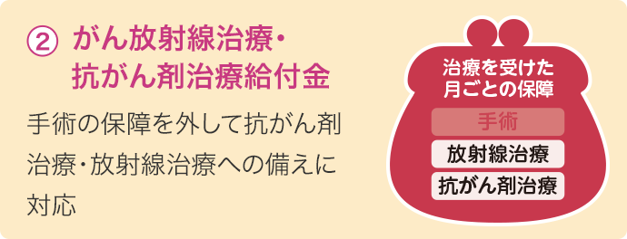 ② がん放射線治療・抗がん剤治療給付金 手術の保障を外して抗がん剤治療・放射線治療への備えに対応 治療を受けた月ごとの保障 放射線治療 抗がん剤治療