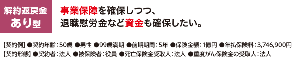 解約返戻金あり型 事業保障を確保しつつ、退職慰労金など資金も確保したい。【契約例】●契約年齢：50歳 ●男性 ●99歳満期 ●前期期間：5年 ●保険金額：1億円 ●年払保険料：3,746,900円【契約形態】●契約者：法人 ●被保険者：役員 ●死亡保険金受取人：法人 ●重度がん保険金の受取人：法人