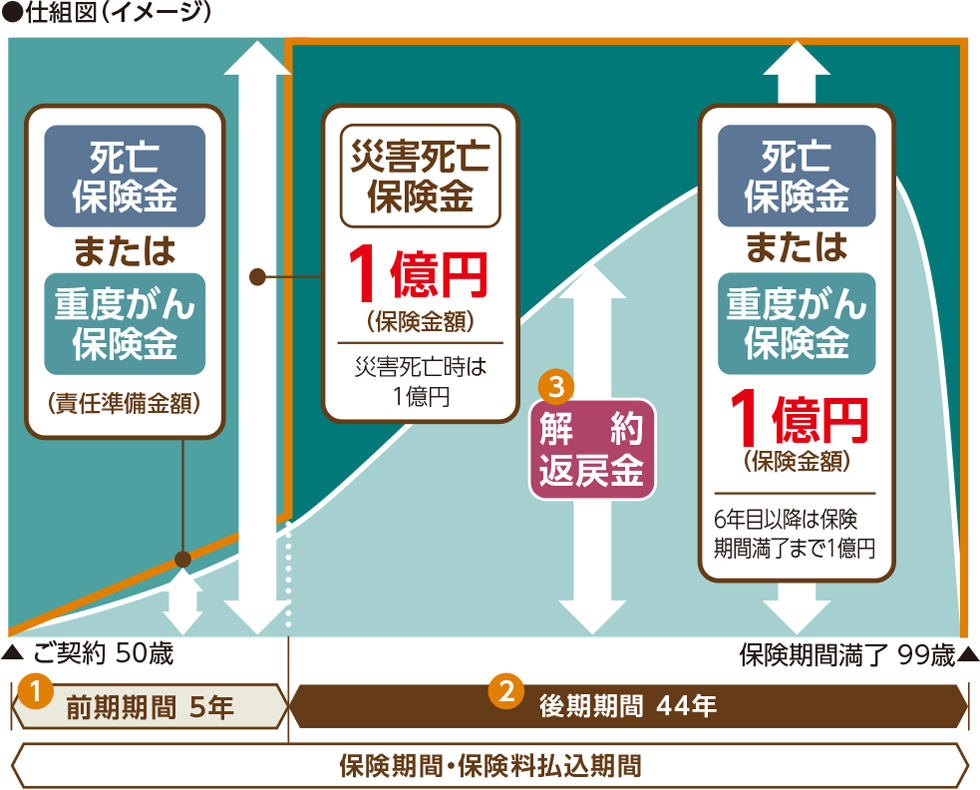 ●仕組図（イメージ）