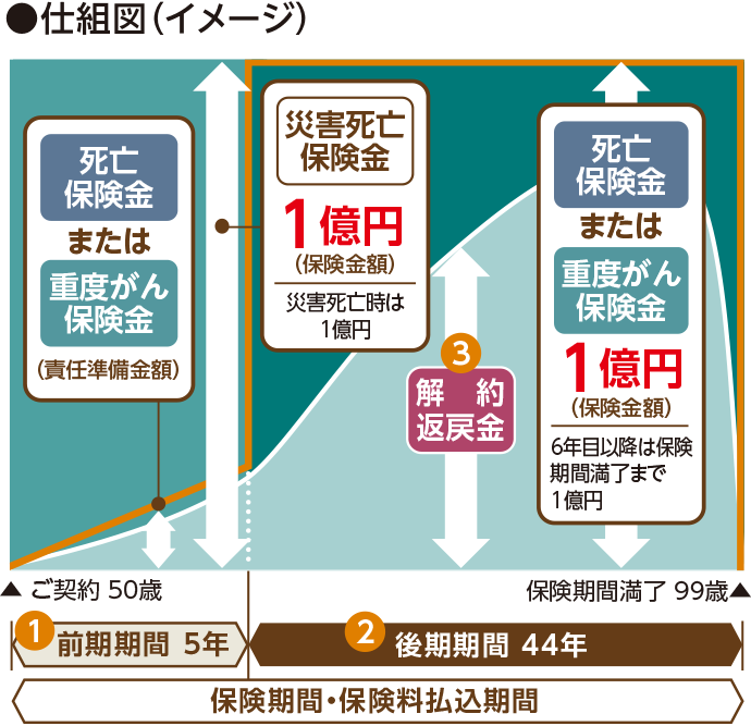 ●仕組図（イメージ）